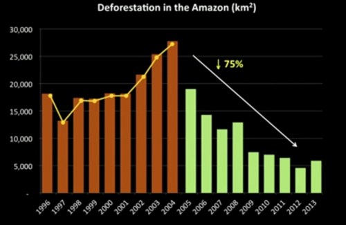 Amazonas 800X520 